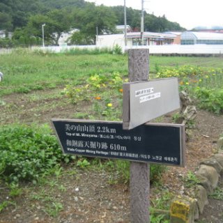seijinja-2018-017