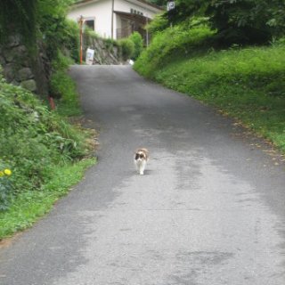 seijinja-2018-035