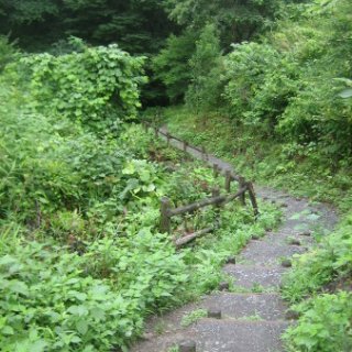 seijinja-2018-041