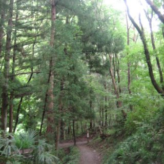 seijinja-2018-042