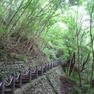 seijinja-2018-049