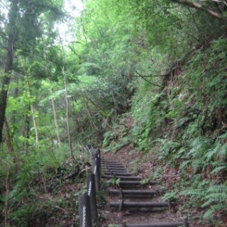seijinja-2018-050