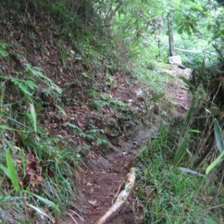 seijinja-2018-054