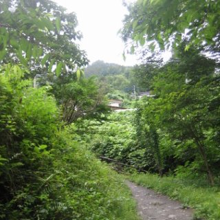 seijinja-2018-060