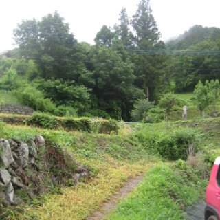 seijinja-2018-063