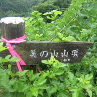 seijinja-2018-065