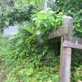 seijinja-2018-068