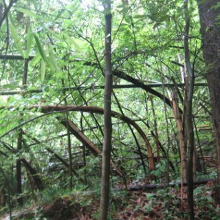 seijinja-2018-071