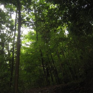 seijinja-2018-073