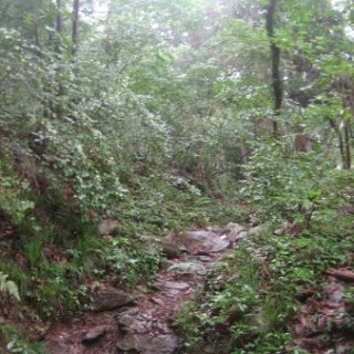 seijinja-2018-076