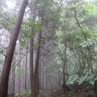 seijinja-2018-080