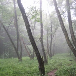 seijinja-2018-082