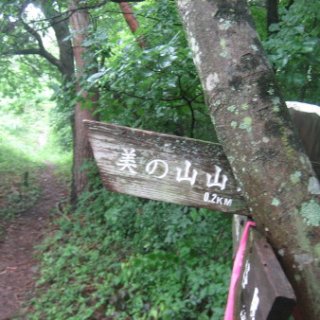 seijinja-2018-085