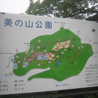 seijinja-2018-093