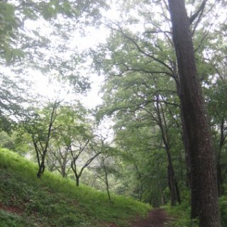 seijinja-2018-108