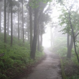 seijinja-2018-111