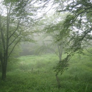 seijinja-2018-113