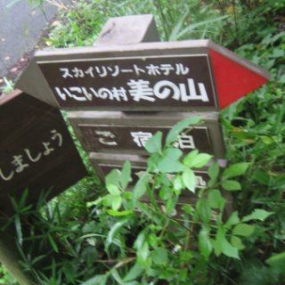 seijinja-2018-124