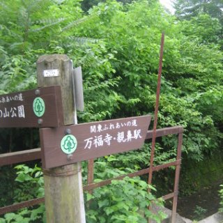 seijinja-2018-132