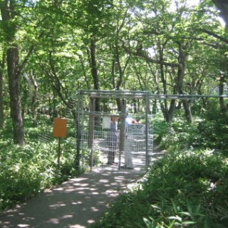 akagiyama-2018-019