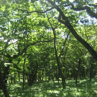 akagiyama-2018-021