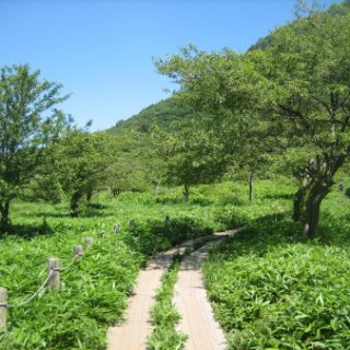 akagiyama-2018-027