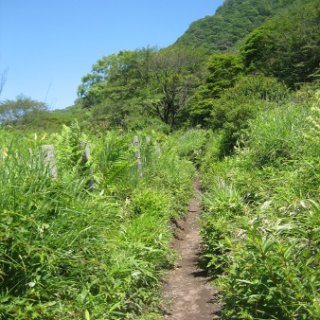 akagiyama-2018-028