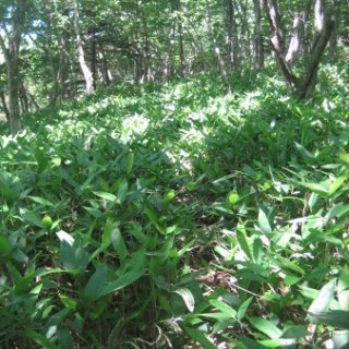 akagiyama-2018-036