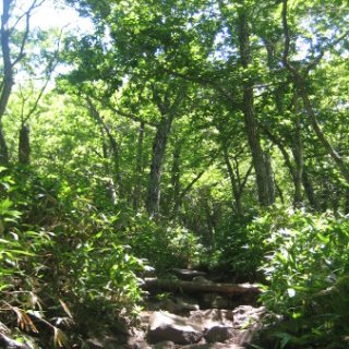 akagiyama-2018-039
