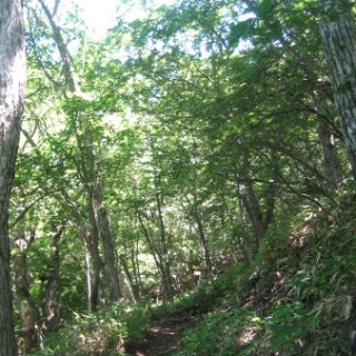akagiyama-2018-041