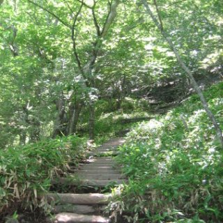 akagiyama-2018-042