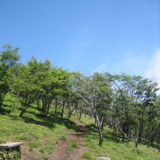 akagiyama-2018-051