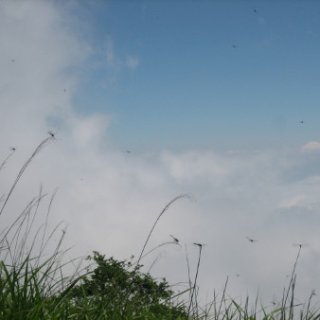 akagiyama-2018-053