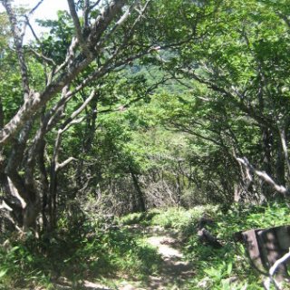 akagiyama-2018-060