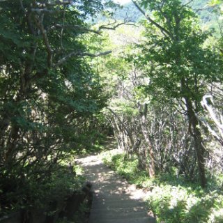 akagiyama-2018-061