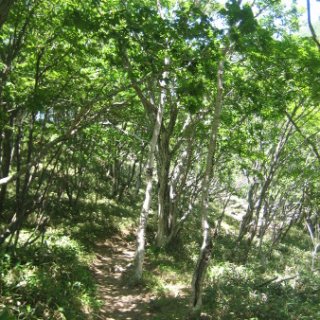akagiyama-2018-062