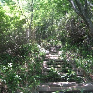 akagiyama-2018-067