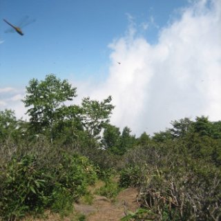 akagiyama-2018-069