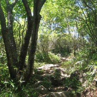 akagiyama-2018-071