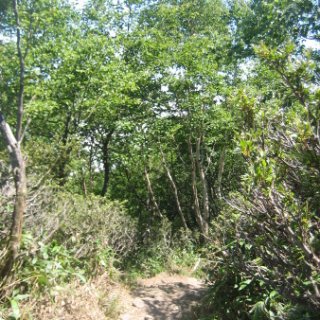 akagiyama-2018-077