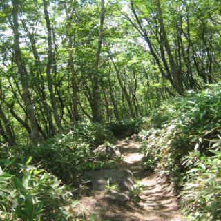 akagiyama-2018-080