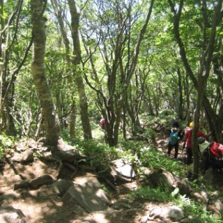akagiyama-2018-081