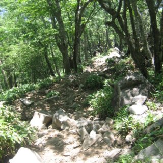 akagiyama-2018-082