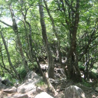 akagiyama-2018-084