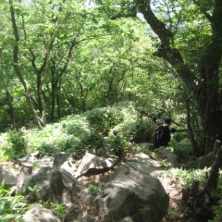 akagiyama-2018-086