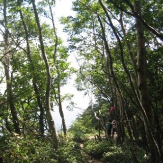 akagiyama-2018-087