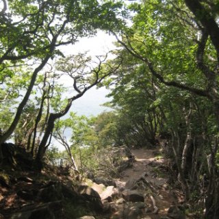 akagiyama-2018-090