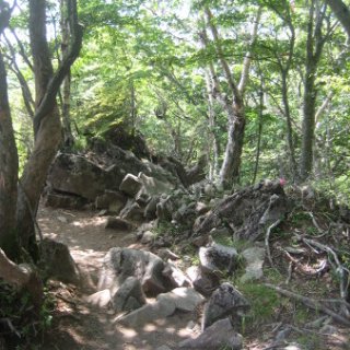 akagiyama-2018-091