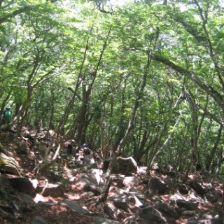 akagiyama-2018-093