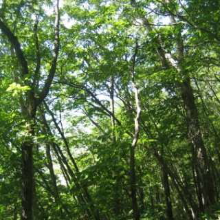 akagiyama-2018-095